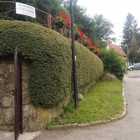 Noclegi U Andrzeja Duszniki Zdrój 外观 照片