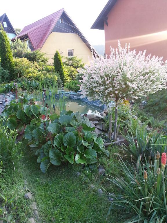 Noclegi U Andrzeja Duszniki Zdrój 外观 照片