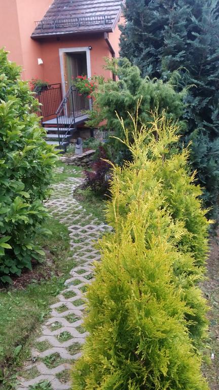 Noclegi U Andrzeja Duszniki Zdrój 外观 照片